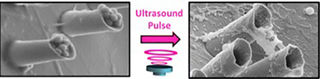 Illustration for article titled Scientists Build Tiny Microcannons That Fire Drug-Filled Nanobullets